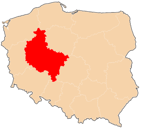 garaże blaszane wielkopolskie